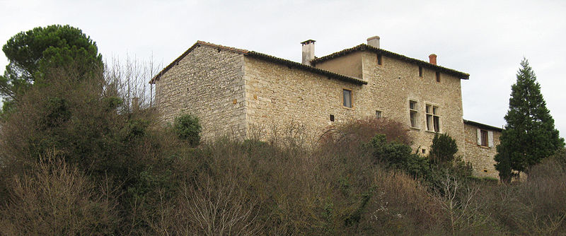 Photo de Maison forte du Pin à Morancé