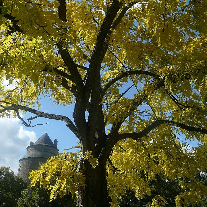 Photo de Château de Châteaugiron