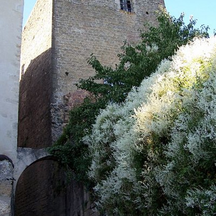 Photo de Maison Messidan à Saint-Macaire
