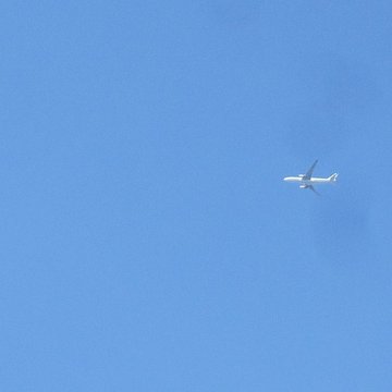 Mur denceinte du château : vestiges