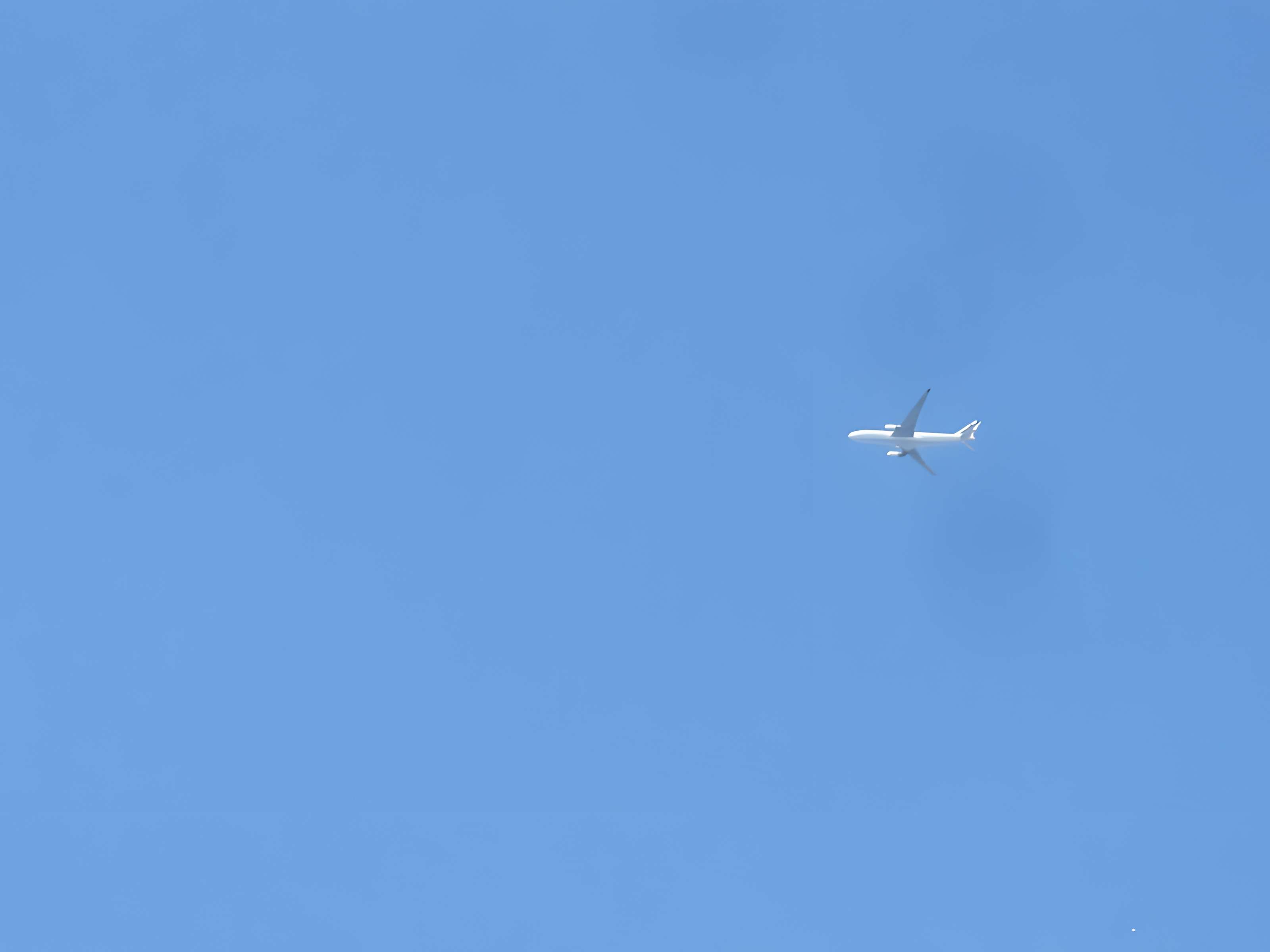 Mur d'enceinte du château : vestiges