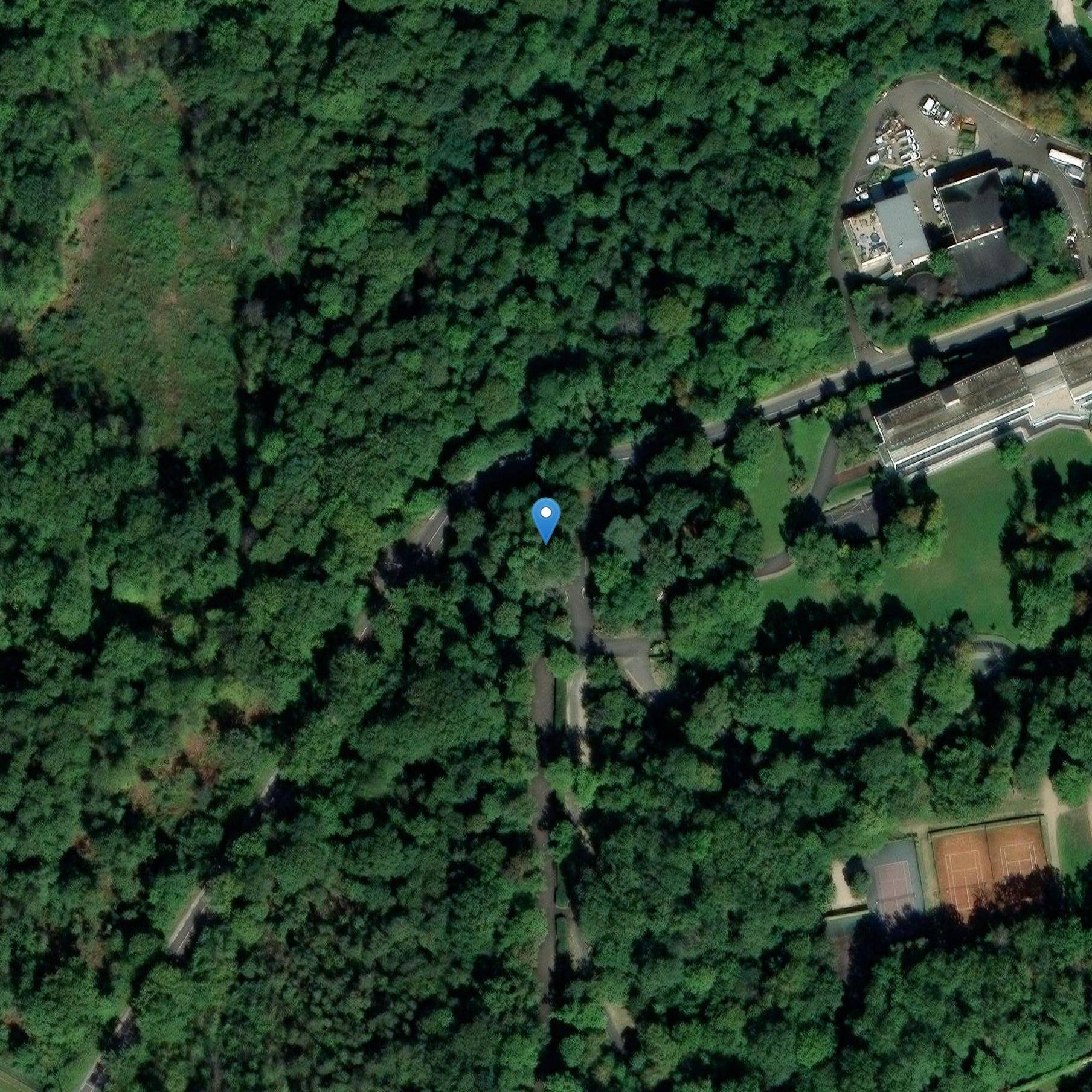 Photo de View of the Champ de Mars