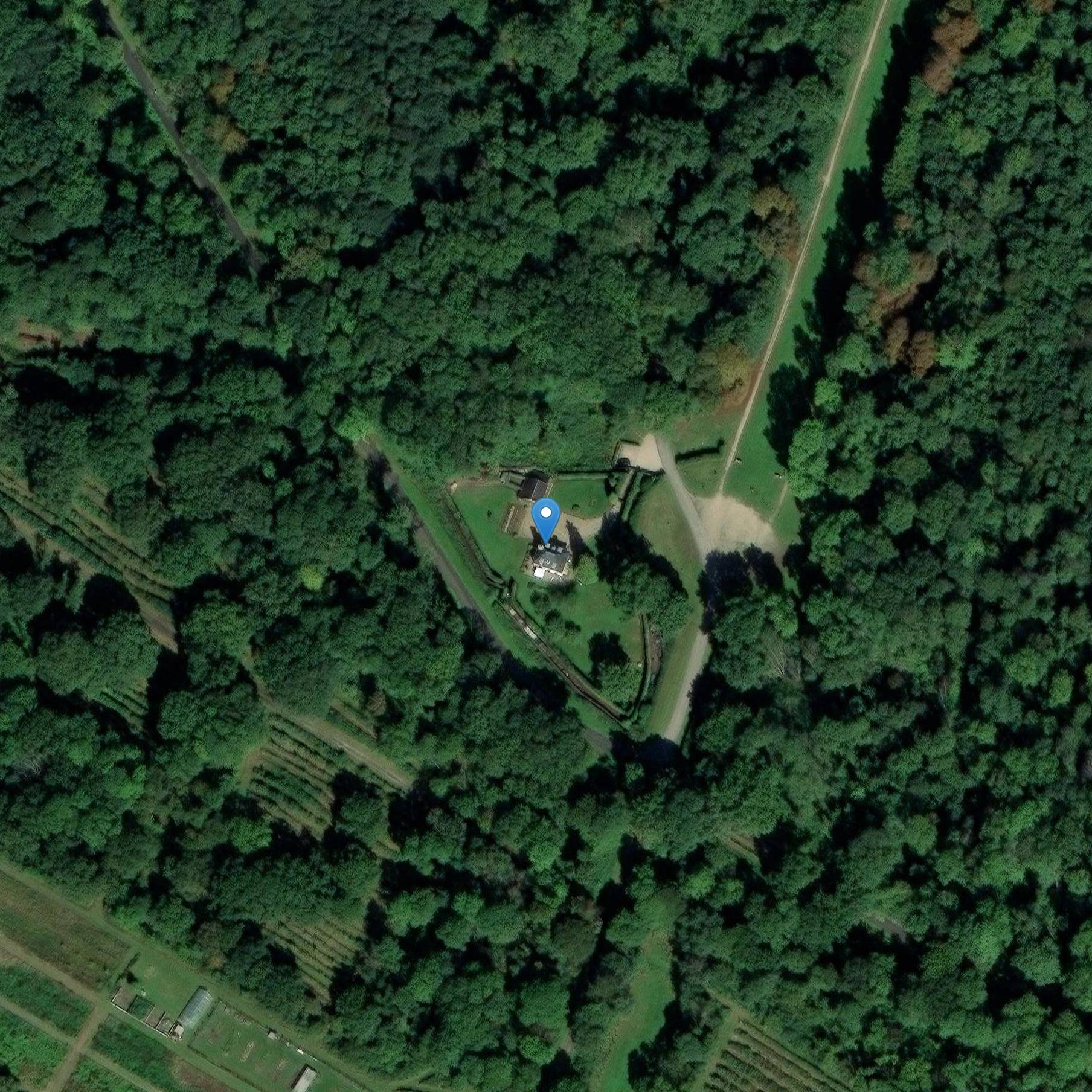 Photo de 緑のカーペットの依存関係