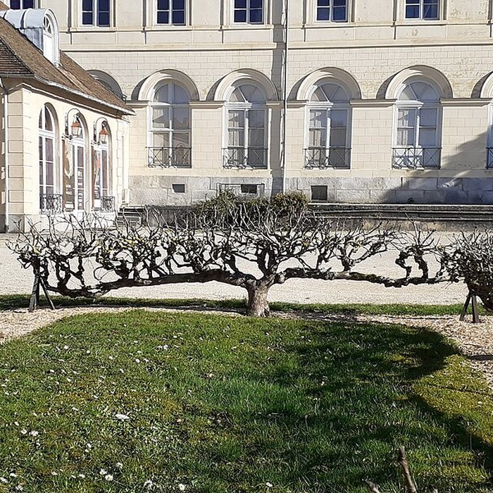 Photo de Pavillon du Roi de Rome dit Palais du Roi de Rome
