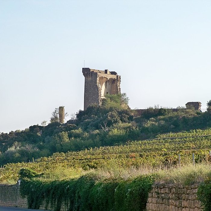 Photo de Château de Châteauneuf-du-Pape