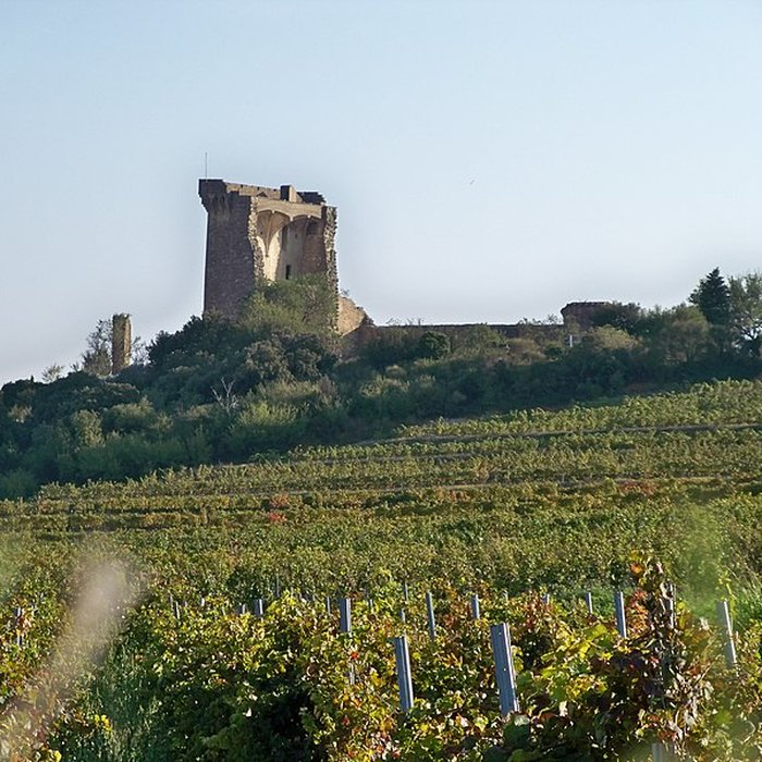 Photo de Château de Châteauneuf-du-Pape