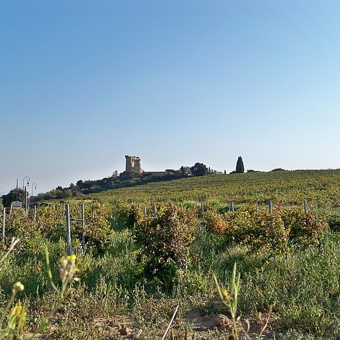 Photo de Château de Châteauneuf-du-Pape