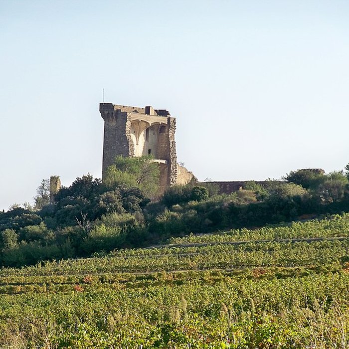 Photo de Château de Châteauneuf-du-Pape