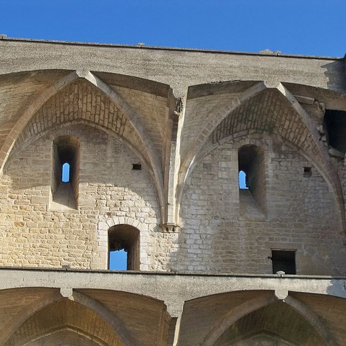 Photo de Château de Châteauneuf-du-Pape
