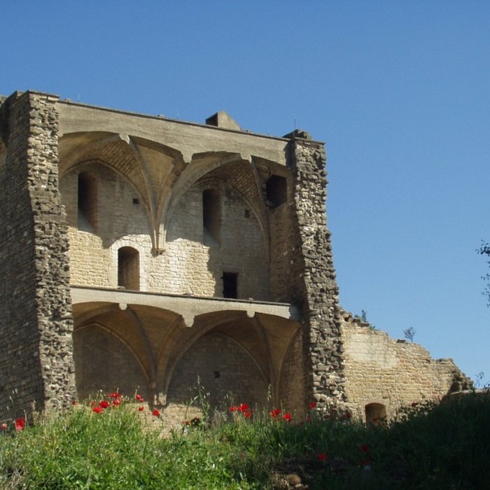 Photo de Château de Châteauneuf-du-Pape