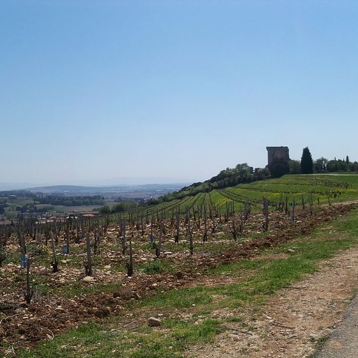 Photo de Château de Châteauneuf-du-Pape