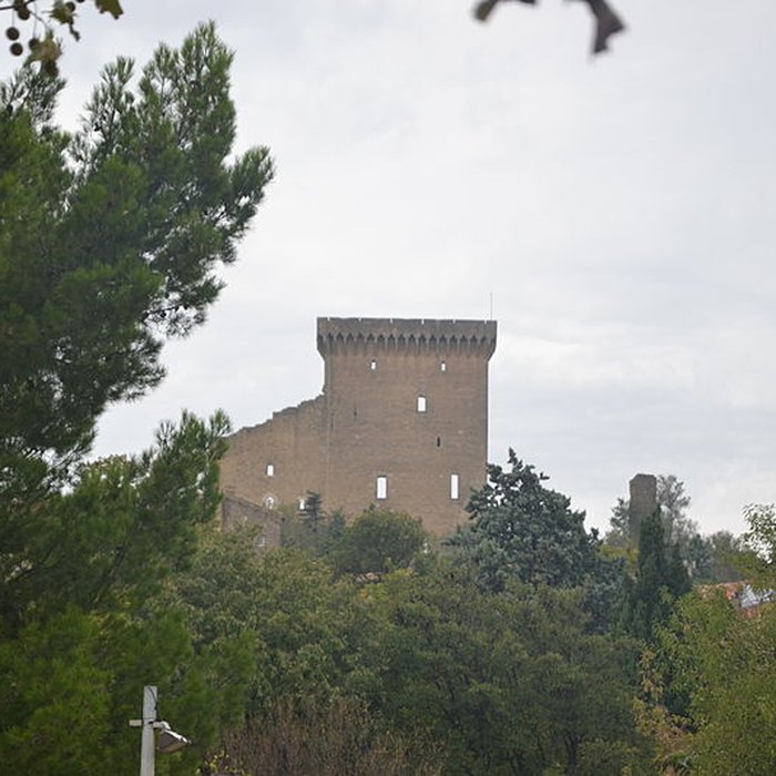Photo de Château de Châteauneuf-du-Pape