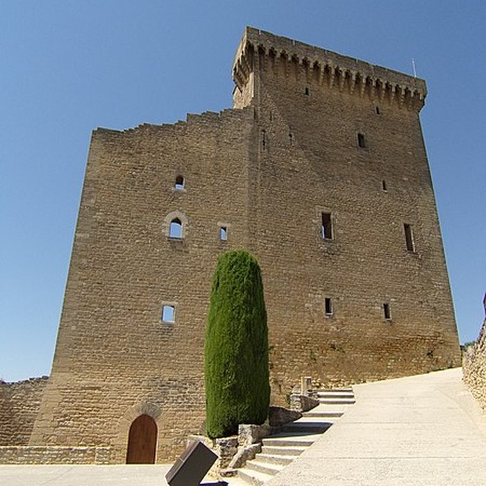 Photo de Château de Châteauneuf-du-Pape