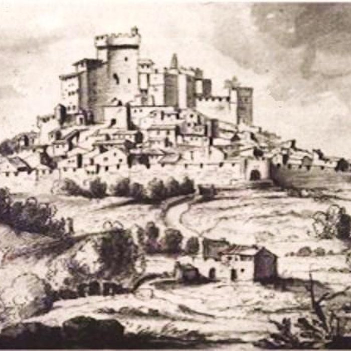 Photo de Château de Châteauneuf-du-Pape