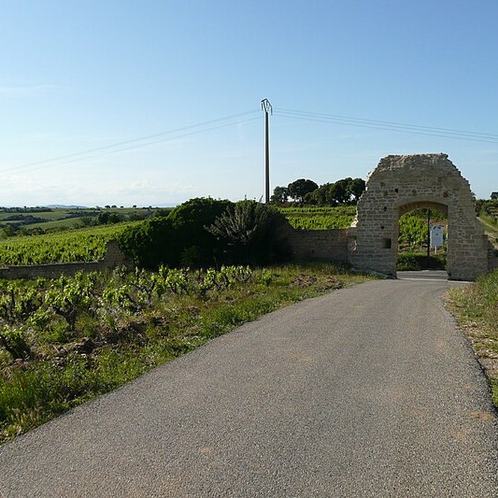 Photo de Château de Châteauneuf-du-Pape