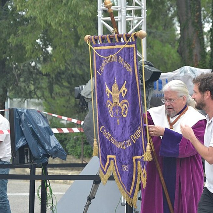 Photo de Château de Châteauneuf-du-Pape
