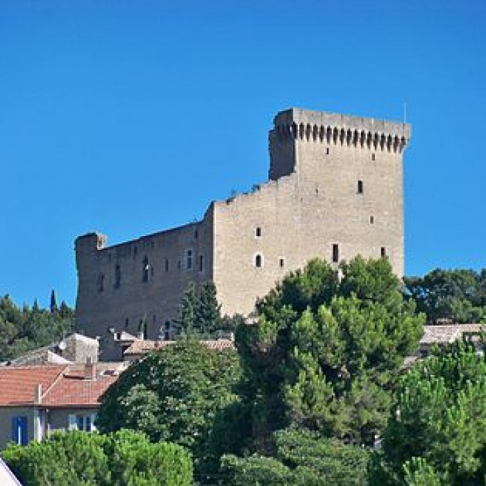 Photo de Château de Châteauneuf-du-Pape