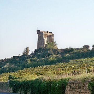 Château de Châteauneuf-du-Pape
