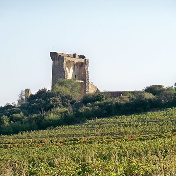 Château de Châteauneuf-du-Pape