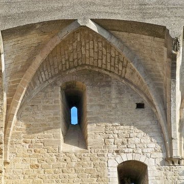 Château de Châteauneuf-du-Pape
