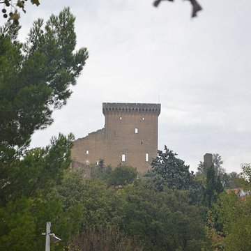 Château de Châteauneuf-du-Pape