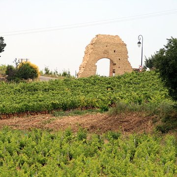 Château de Châteauneuf-du-Pape