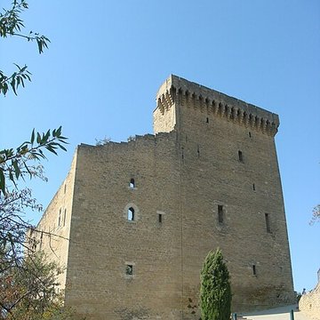 Château de Châteauneuf-du-Pape