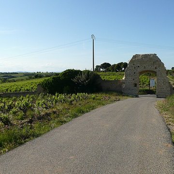 Château de Châteauneuf-du-Pape