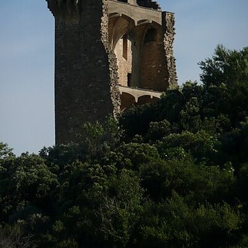 Château de Châteauneuf-du-Pape