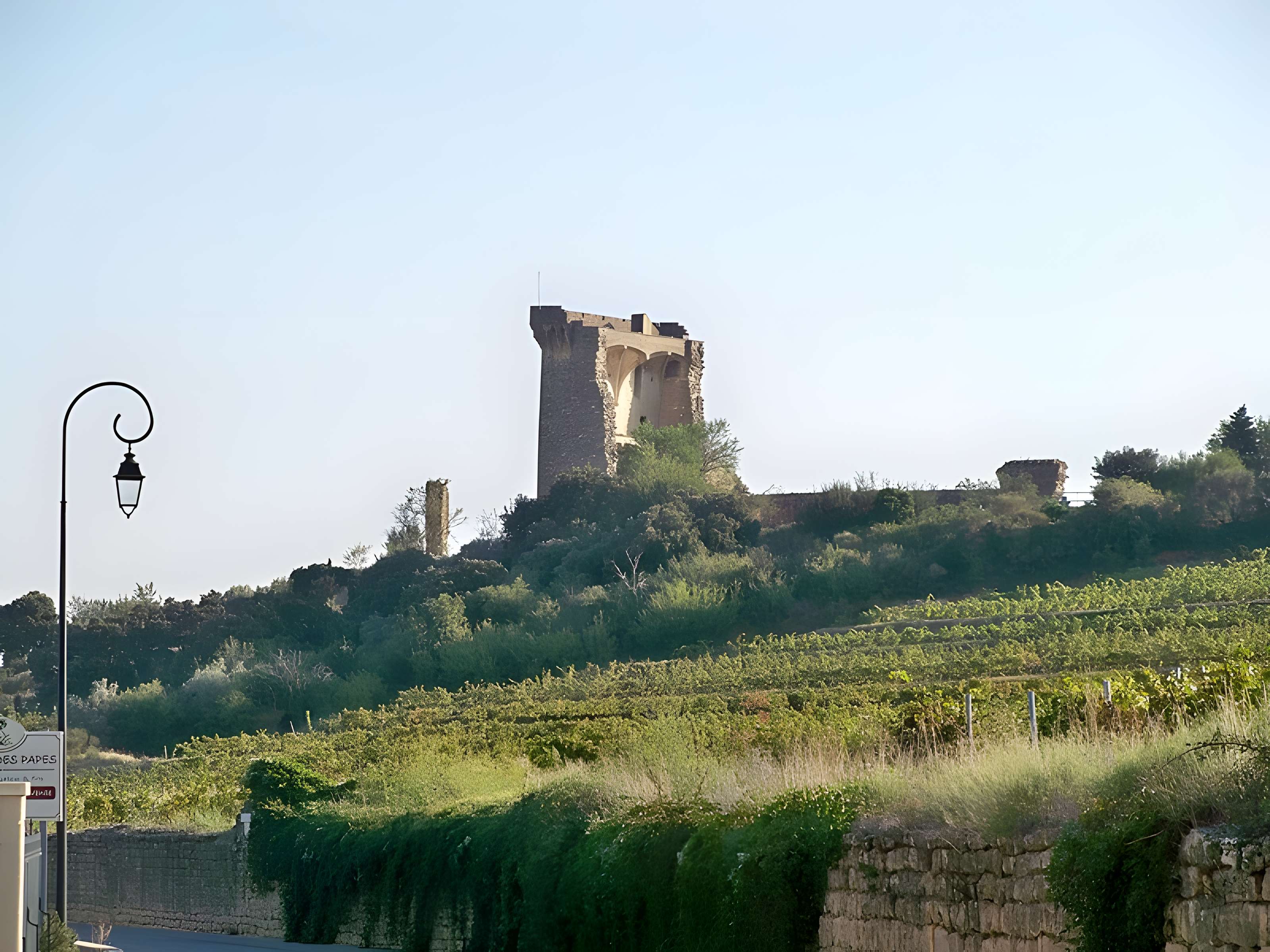 Château de Châteauneuf-du-Pape