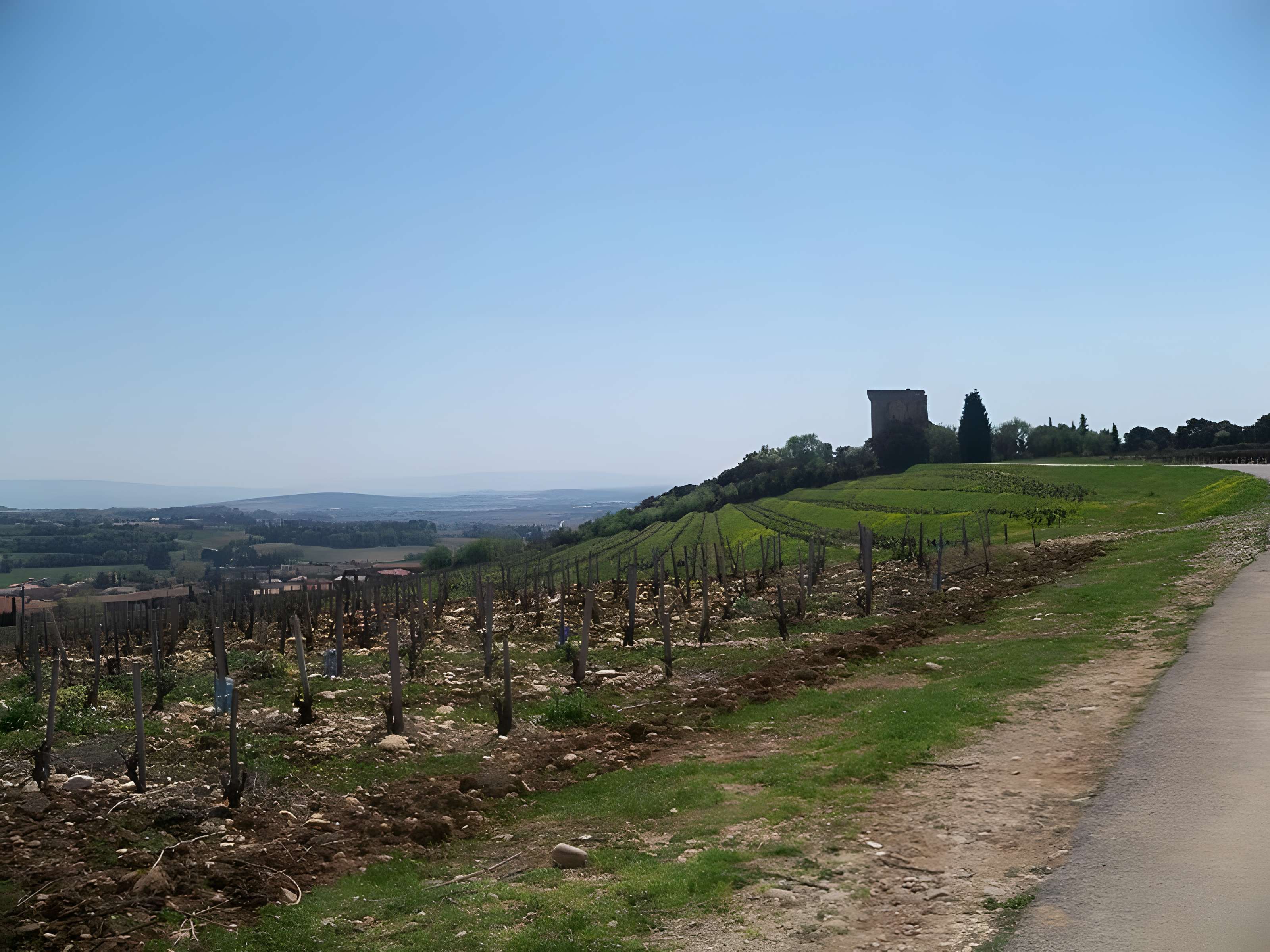 Château de Châteauneuf-du-Pape