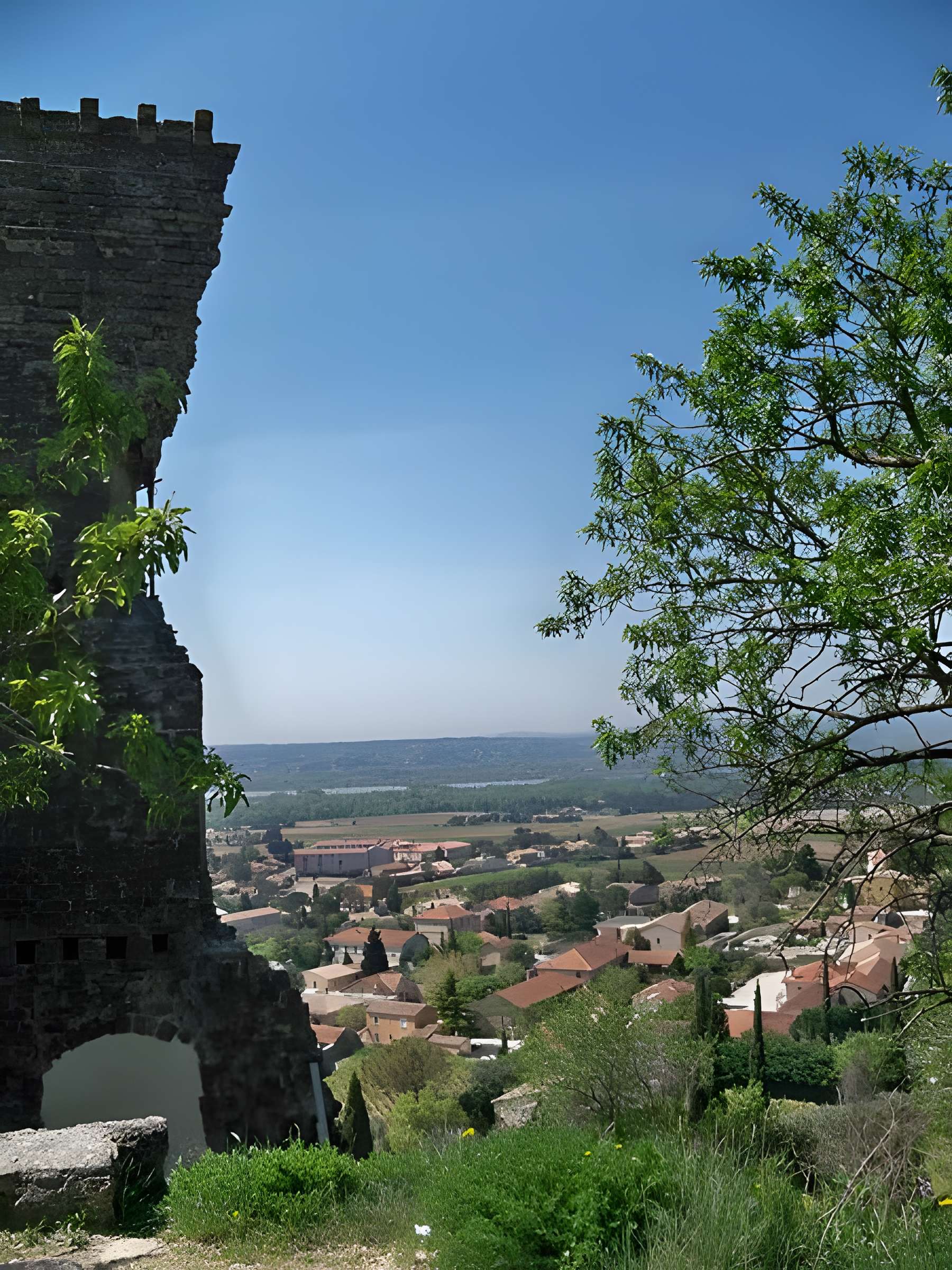 Château de Châteauneuf-du-Pape