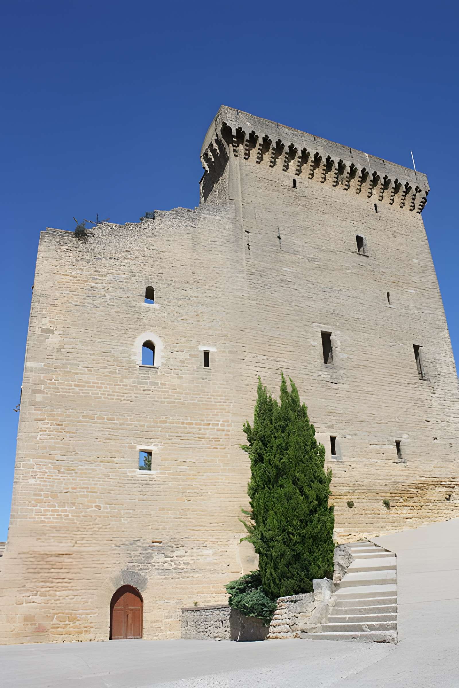 Château de Châteauneuf-du-Pape