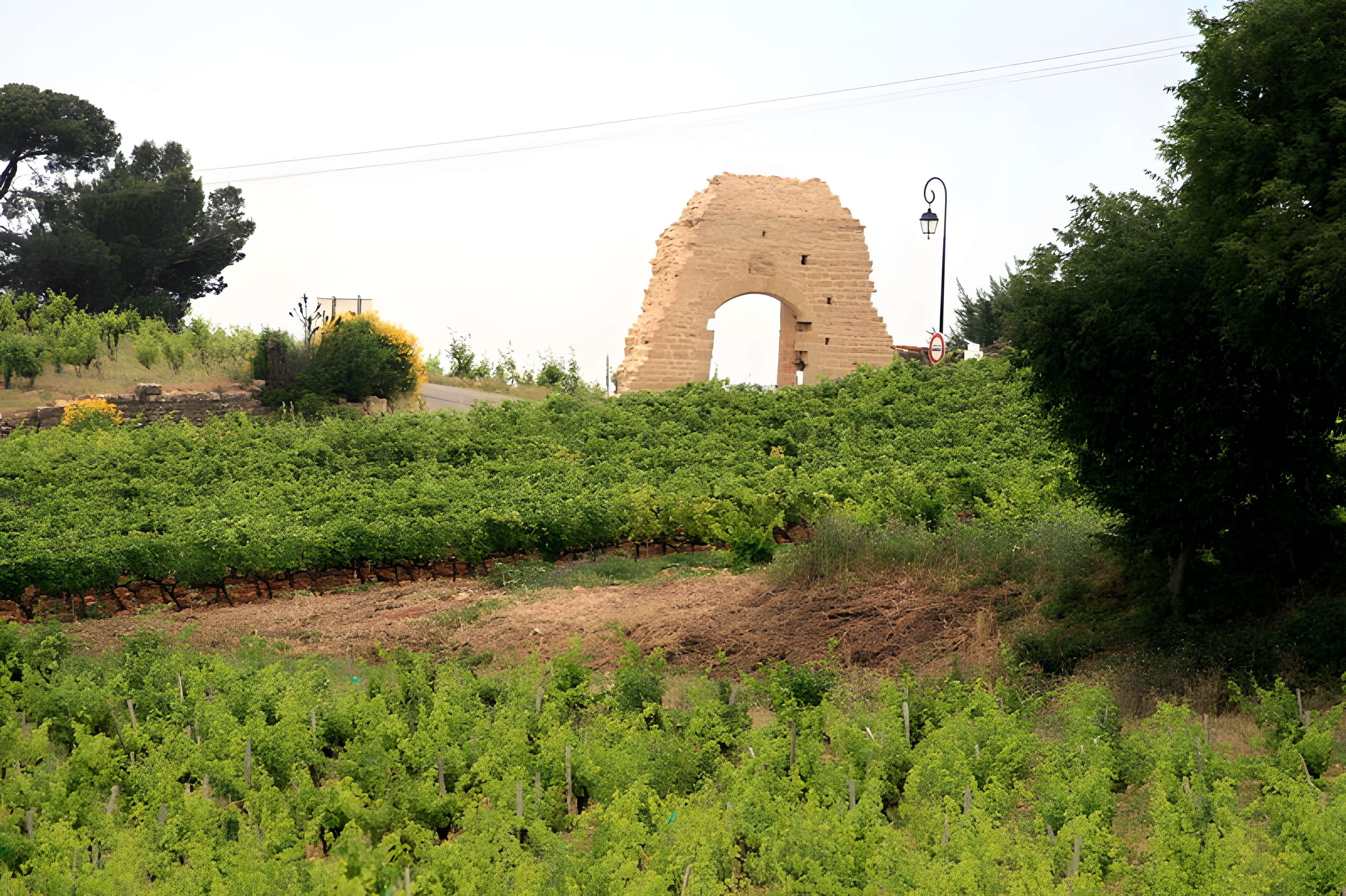 Château de Châteauneuf-du-Pape