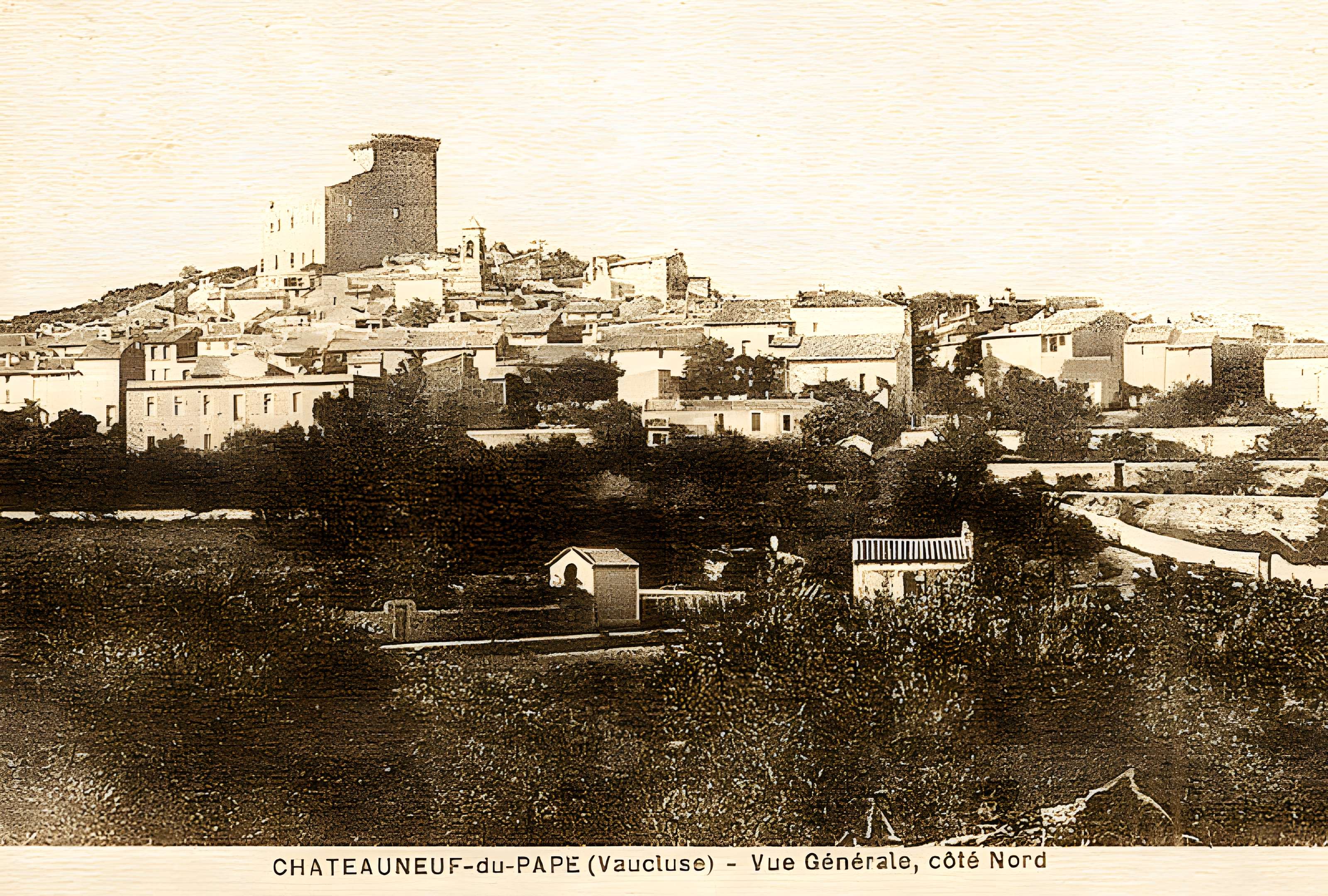 Château de Châteauneuf-du-Pape