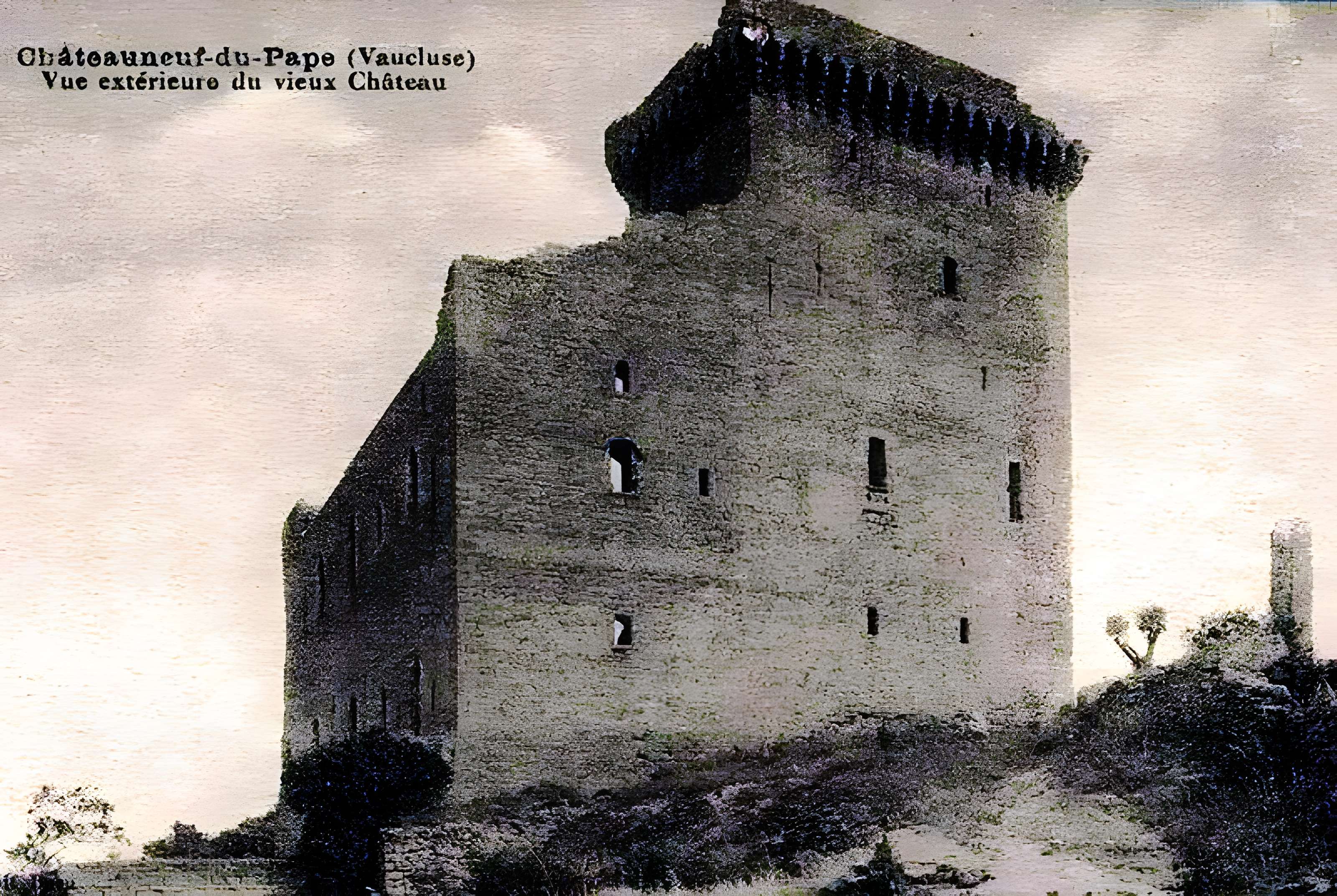 Château de Châteauneuf-du-Pape