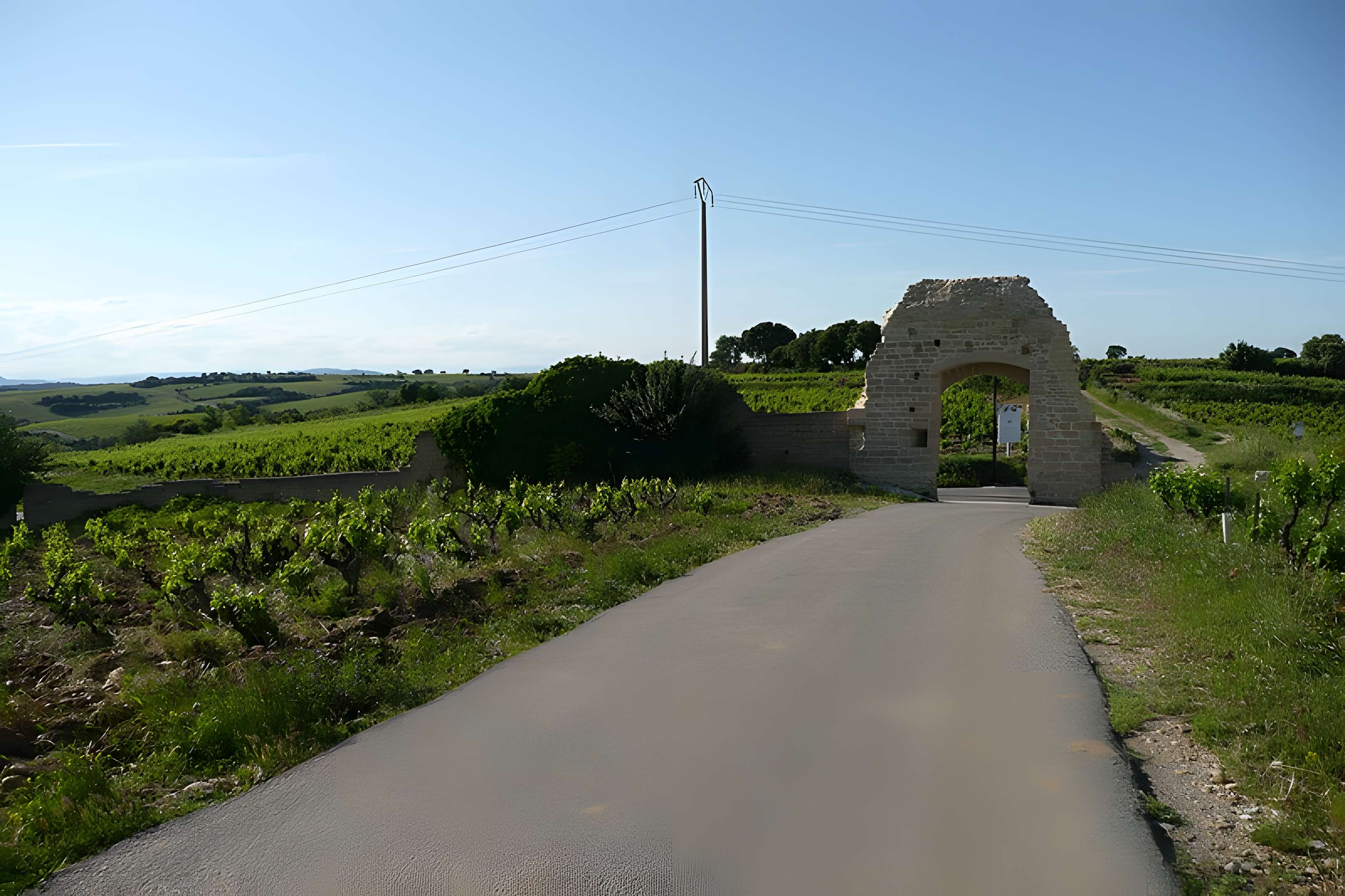 Château de Châteauneuf-du-Pape