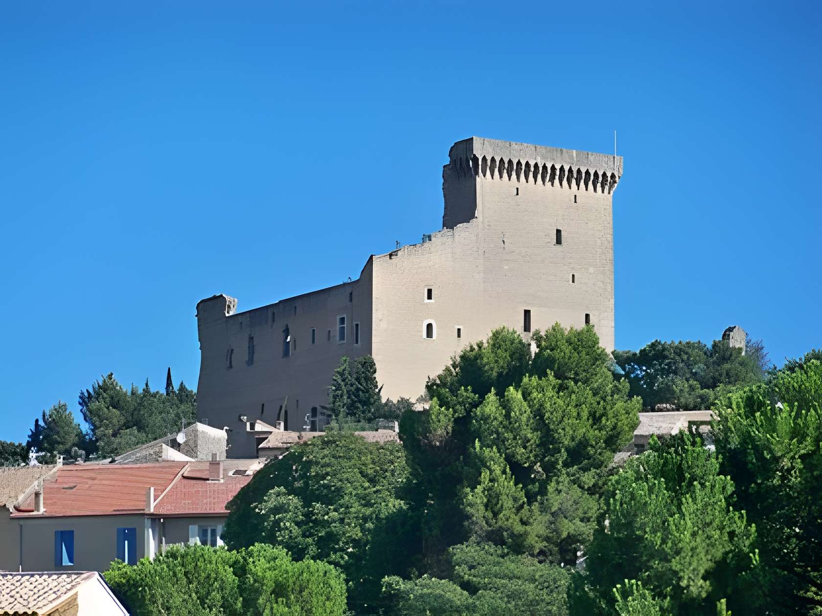Château de Châteauneuf-du-Pape 