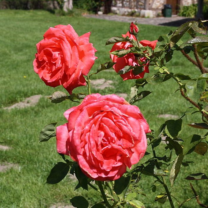 Photo de Ancien moulin de Villeneuve, maison de campagne dElsa Triolet et de Louis Aragon