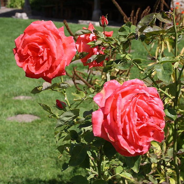 Photo de Ancien moulin de Villeneuve, maison de campagne dElsa Triolet et de Louis Aragon