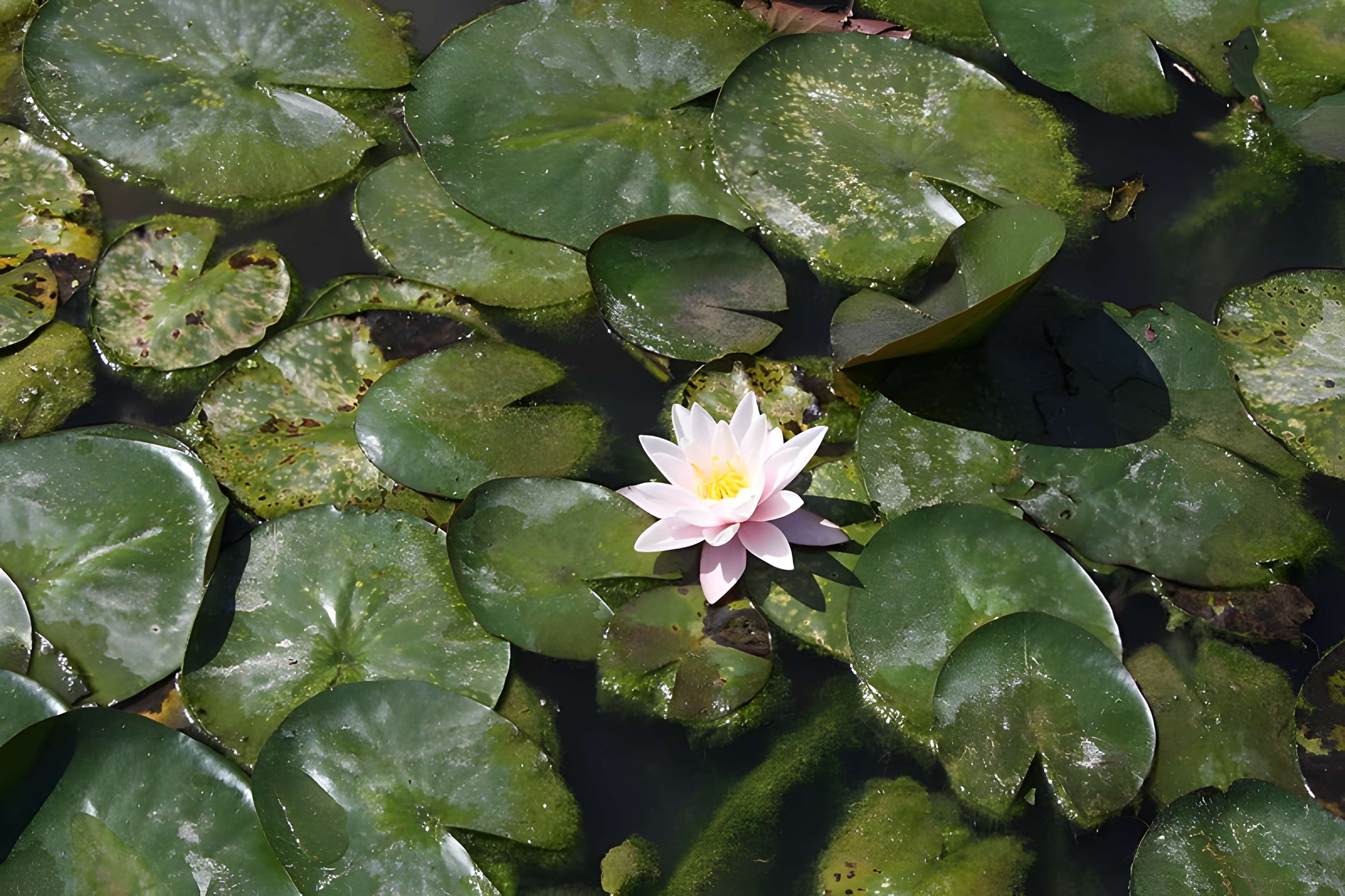 Ancien moulin de Villeneuve, maison de campagne d'Elsa Triolet et de Louis Aragon