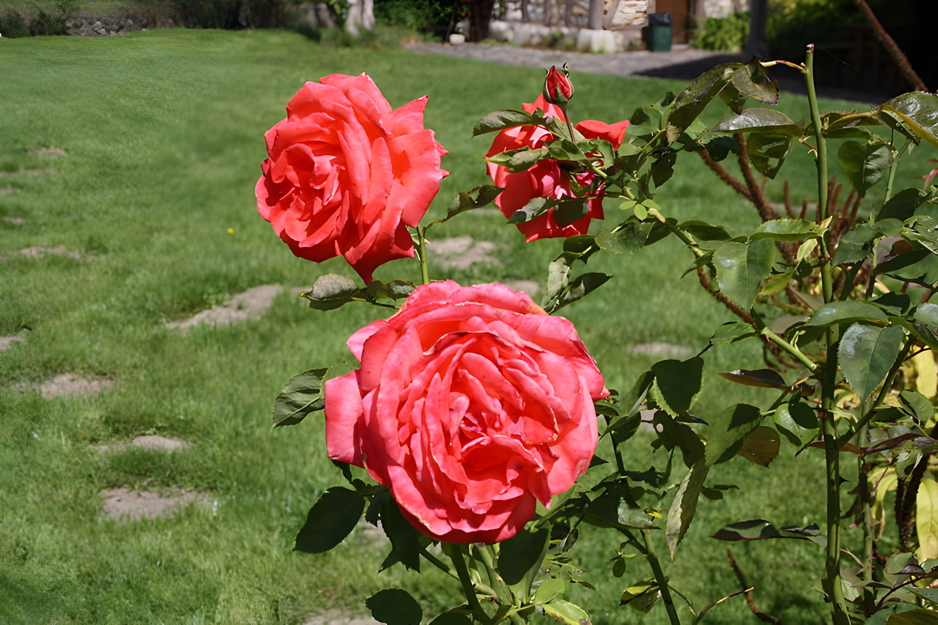 Ancien moulin de Villeneuve, maison de campagne d'Elsa Triolet et de Louis Aragon