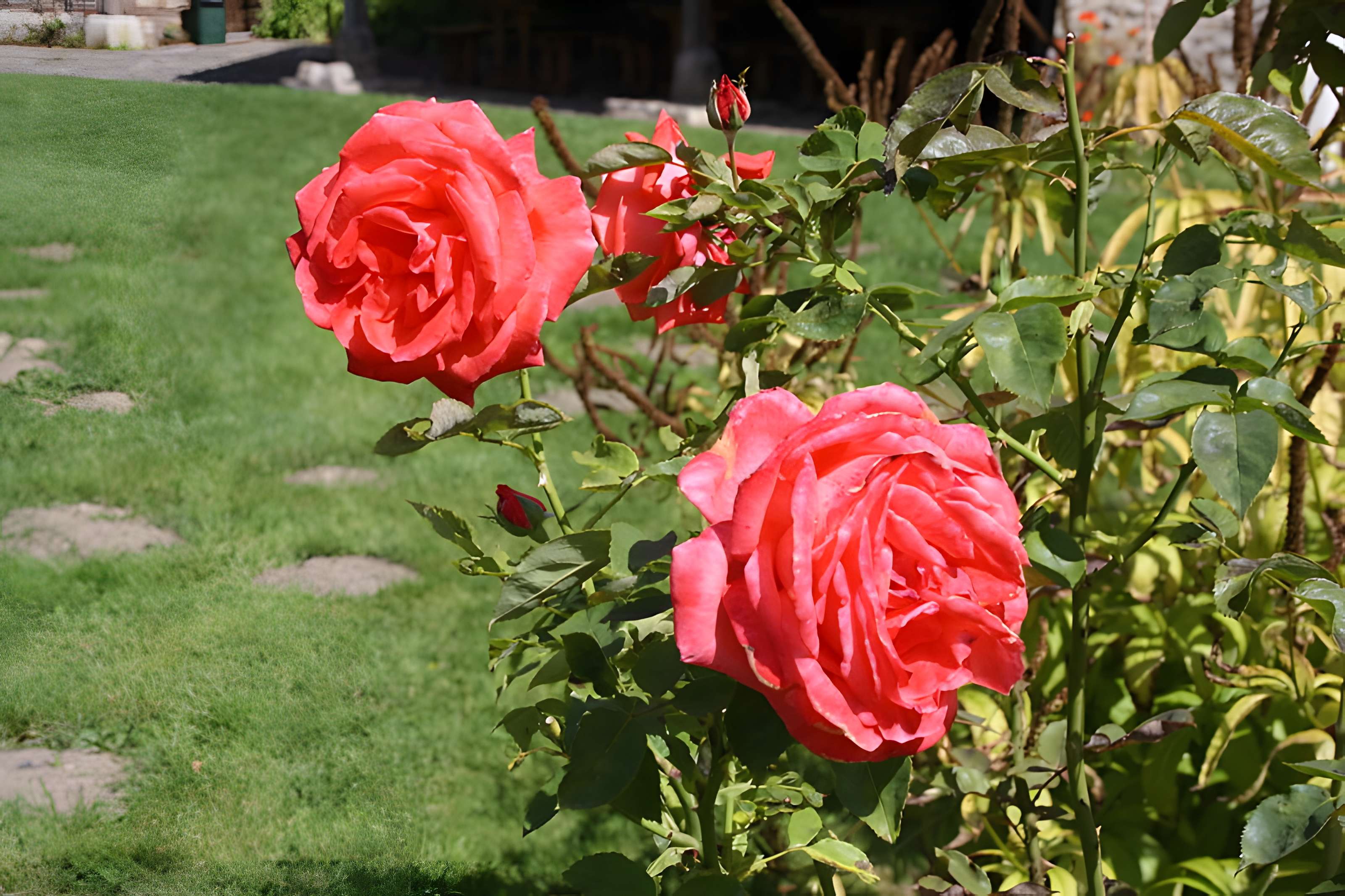 Ancien moulin de Villeneuve, maison de campagne d'Elsa Triolet et de Louis Aragon