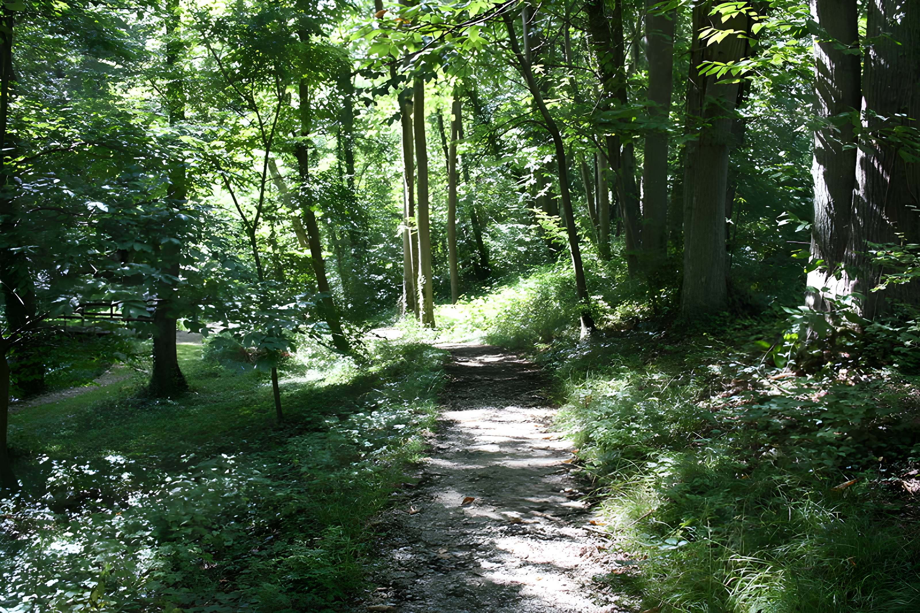 Ancien moulin de Villeneuve, maison de campagne d'Elsa Triolet et de Louis Aragon
