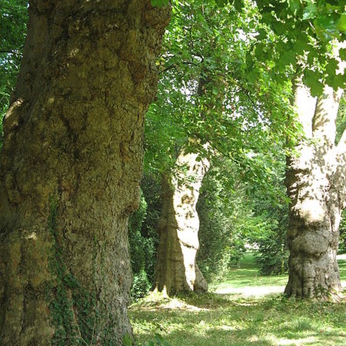 Photo de Domaine de Madame Elisabeth