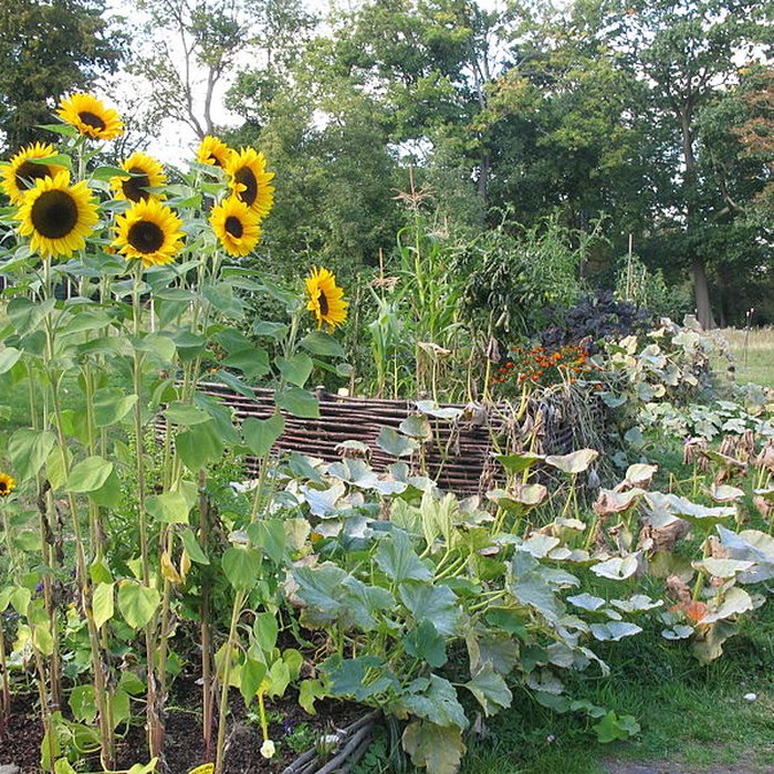 Photo de Domaine de Madame Elisabeth