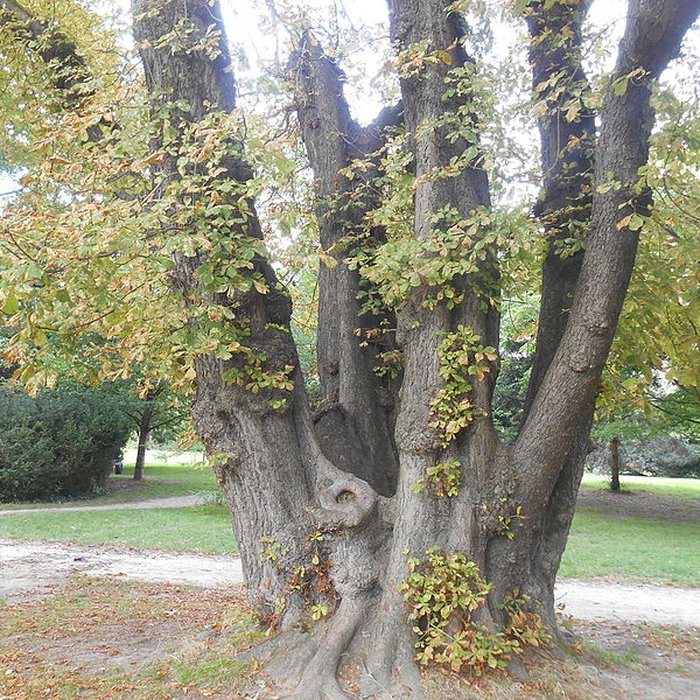 Photo de Domaine de Madame Elisabeth