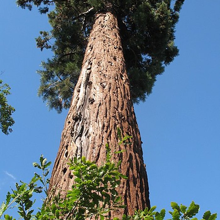 Photo de Domaine de Madame Elisabeth
