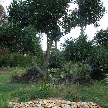 Domaine de Madame Elisabeth