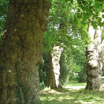Domaine de Madame Elisabeth